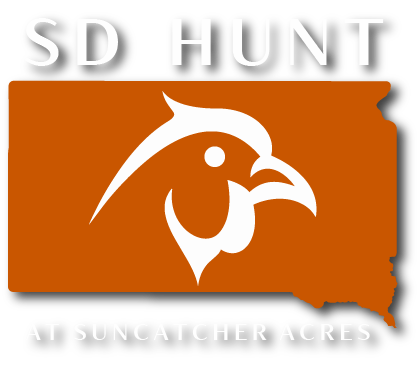 american fallen heroes project infinite patriot